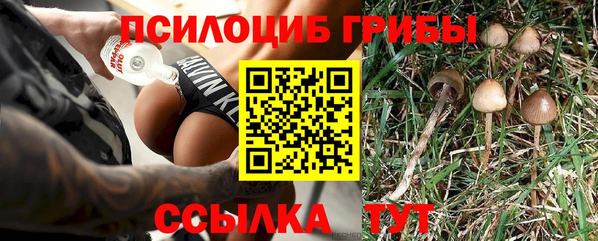 Псилоцибиновые грибы ЛСД Заволжье