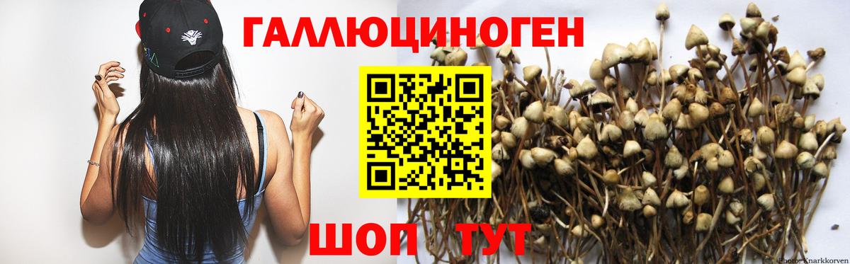 Псилоцибиновые грибы мухоморы  Вход с VPN  Псилоцибиновые грибы мухоморы  Заволжье 