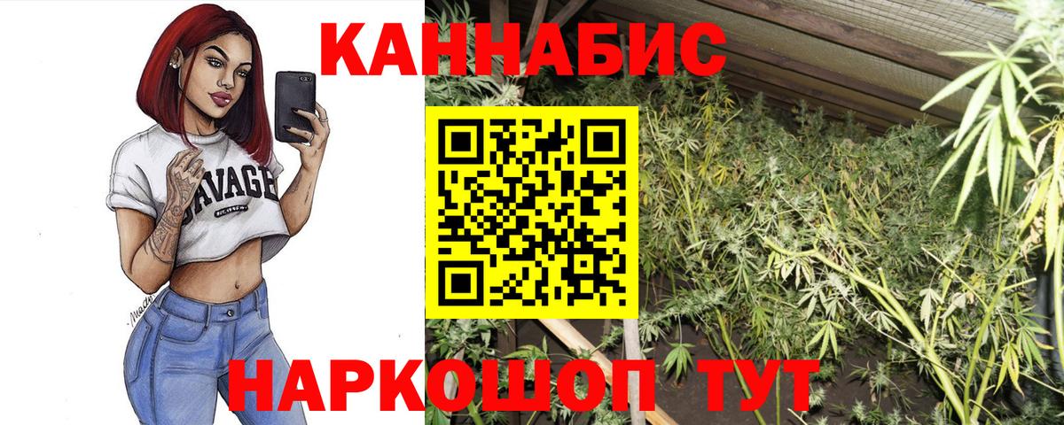Марихуана марихуана Заволжье